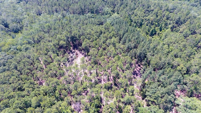 TBD Highway 177 A, Bonifay, FL 32425 - photo 7