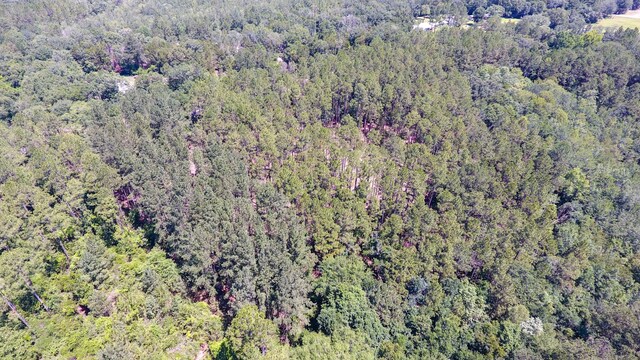 TBD Highway 177 A, Bonifay, FL 32425 - photo 8