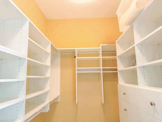 view of walk in closet