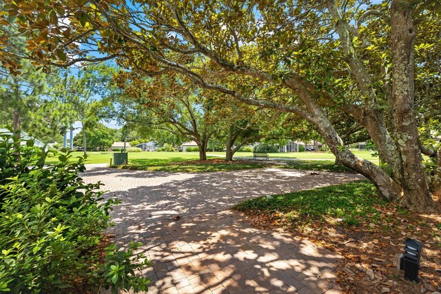 view of community featuring a yard