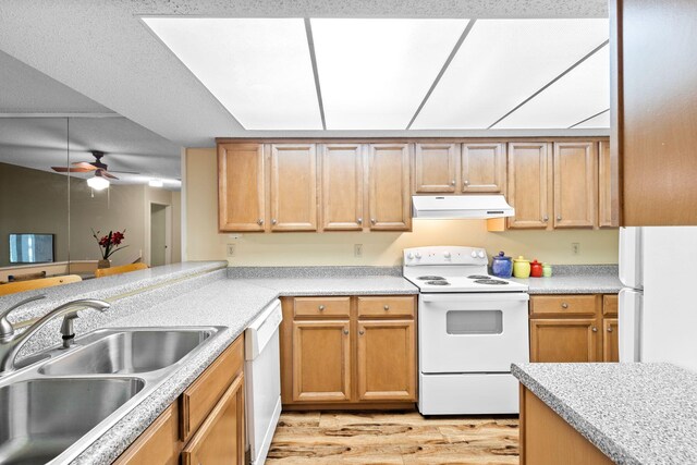 kitchen featuring ceiling fan, white appliances, sink, and light hardwood / wood-style flooring