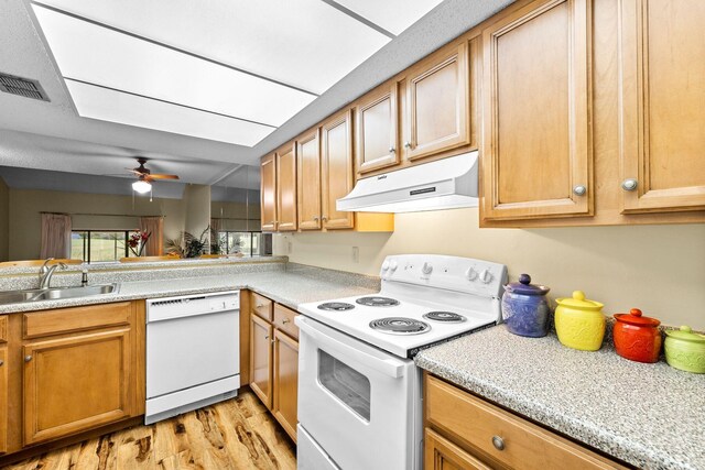 kitchen featuring light wood-type flooring, white appliances, ceiling fan, and sink