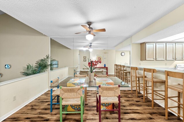 dining room with dark hardwood / wood-style flooring and a textured ceiling