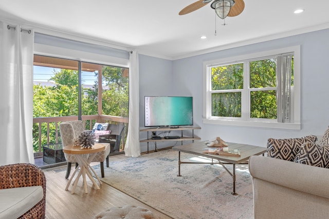 living room with plenty of natural light, ceiling fan, hardwood / wood-style floors, and ornamental molding