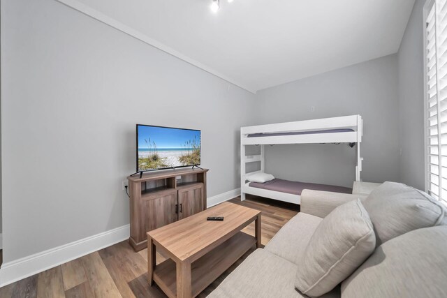 living room with hardwood / wood-style flooring