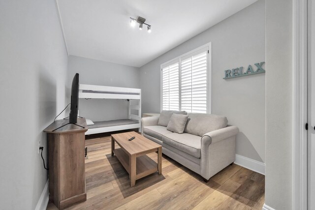 living room with hardwood / wood-style floors