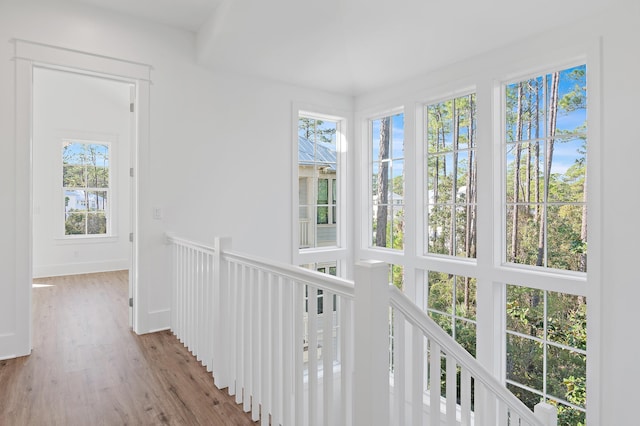 hallway featuring plenty of natural light and light wood-type flooring