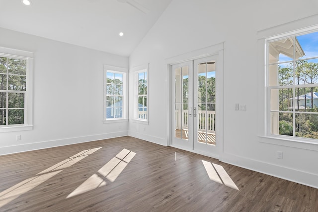 interior space featuring dark wood-type flooring and a wealth of natural light