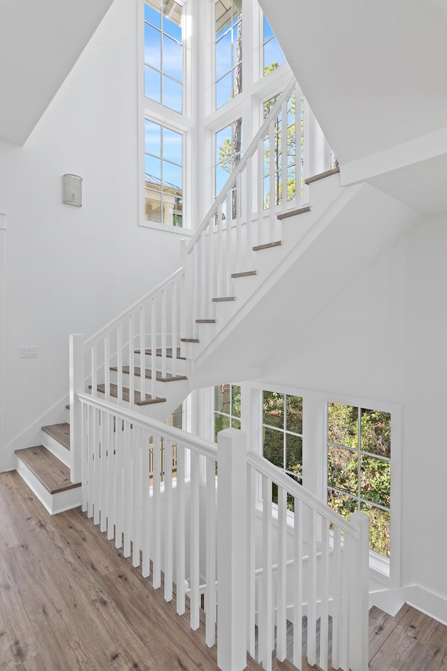 stairs featuring hardwood / wood-style floors, a healthy amount of sunlight, and a high ceiling