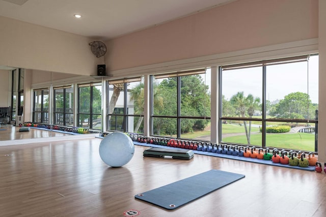 gym with hardwood / wood-style floors