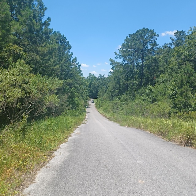 LOT5 Pleasant Way, Defuniak Springs, FL 32435 - photo 3