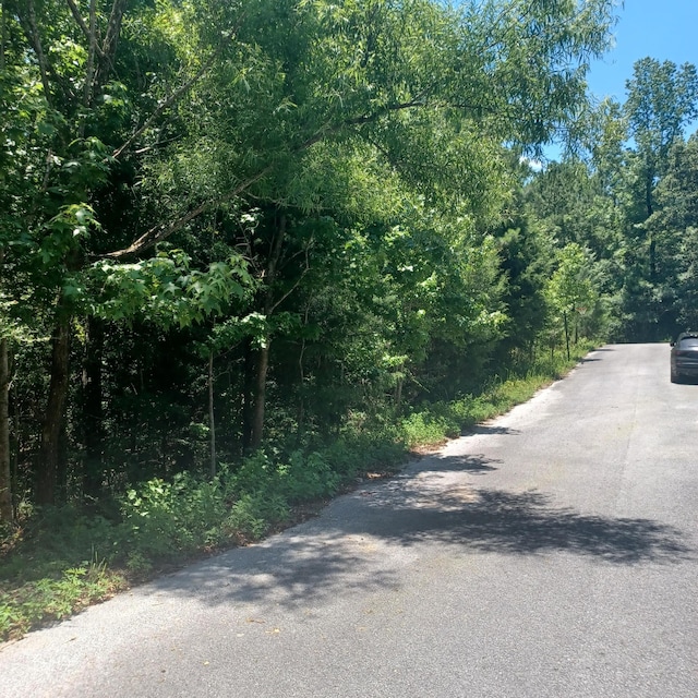 LOT5 Pleasant Way, Defuniak Springs, FL 32435 - photo 4