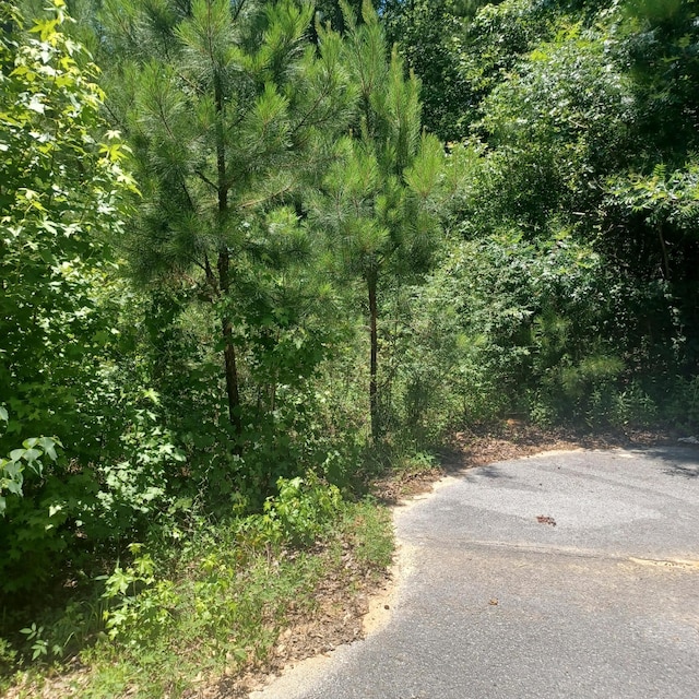 LOT5 Pleasant Way, Defuniak Springs, FL 32435 - photo 7
