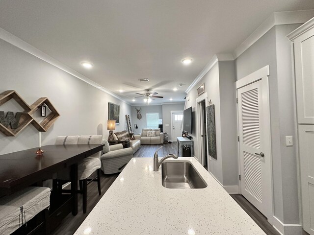 kitchen with sink, crown molding, dark wood-type flooring, and light stone countertops