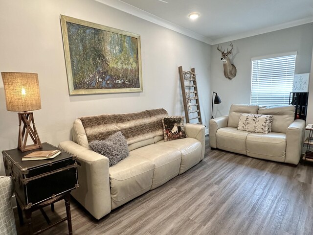 living room with wood-type flooring and ornamental molding