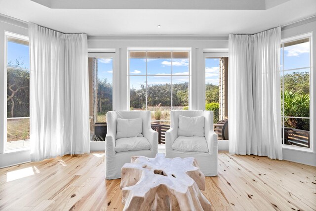 living area featuring wood-type flooring