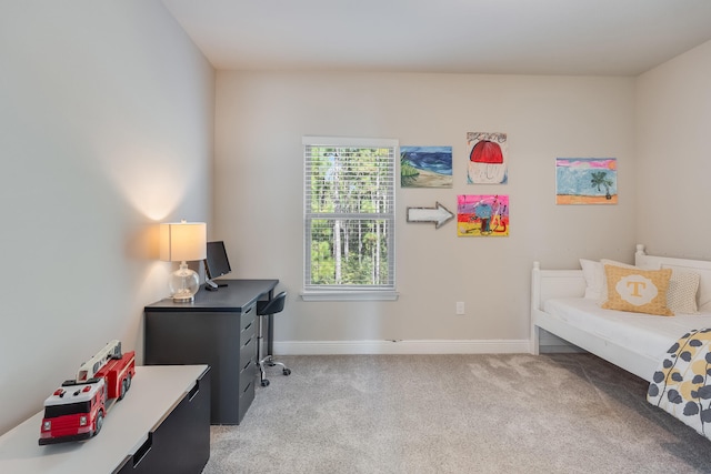 office featuring light colored carpet