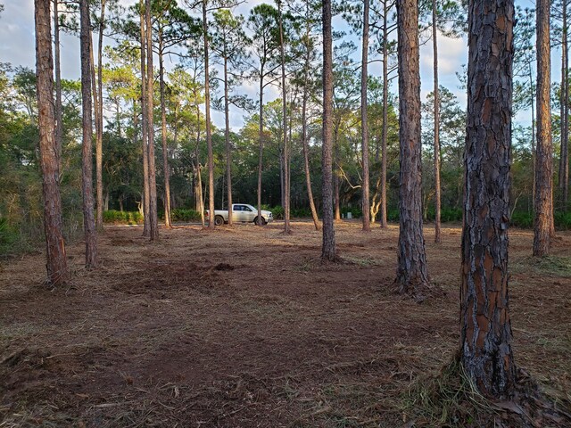 LOT31 Cross Creek Cir, Freeport, FL 32439 - photo 2