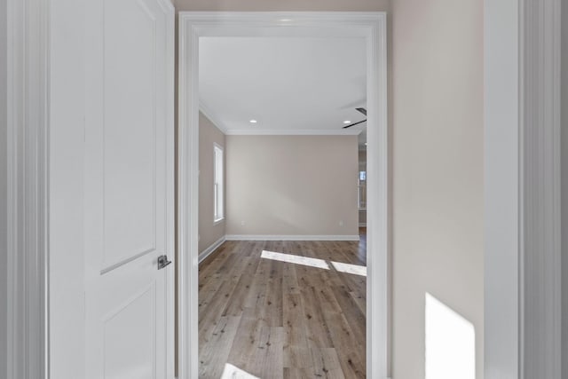 hall with crown molding and light hardwood / wood-style flooring