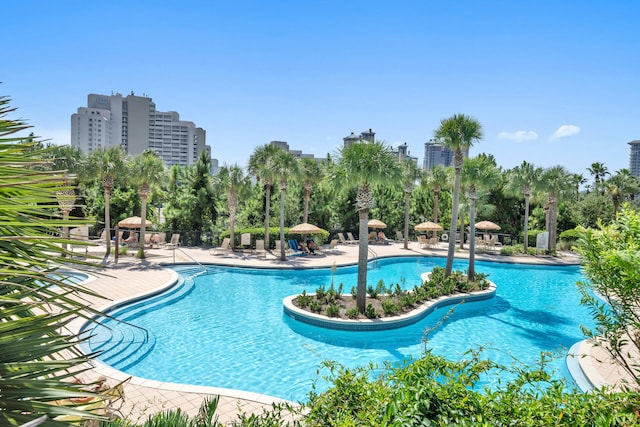 view of swimming pool featuring a patio