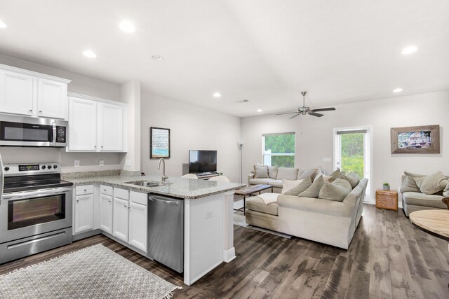 kitchen with dark hardwood / wood-style floors, kitchen peninsula, white cabinetry, appliances with stainless steel finishes, and sink