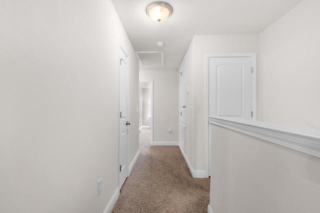 corridor featuring light colored carpet