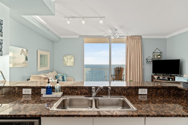 kitchen with ceiling fan, dark stone countertops, ornamental molding, track lighting, and sink