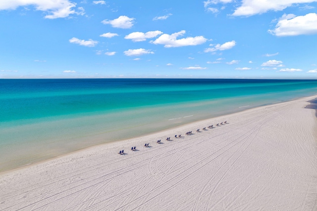 water view featuring a beach view