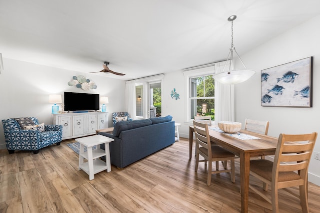 dining room featuring light wood-type flooring and ceiling fan