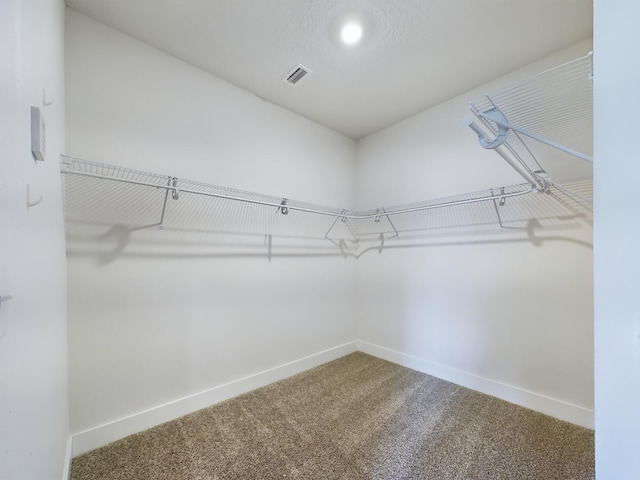 walk in closet with carpet