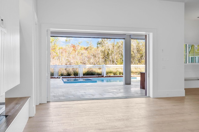 entryway featuring light wood-type flooring and a wealth of natural light