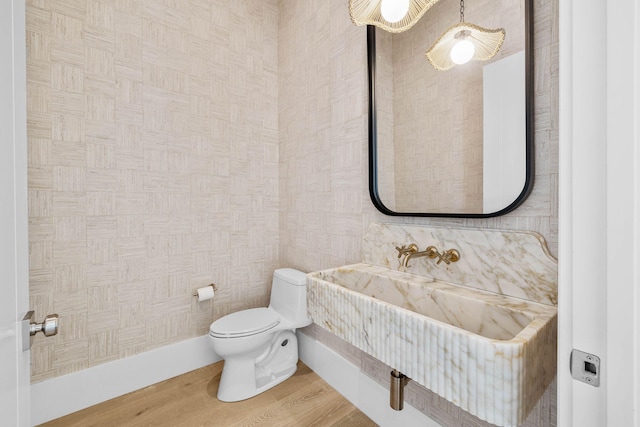 bathroom with hardwood / wood-style floors, toilet, and sink