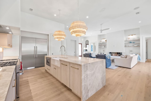 kitchen with appliances with stainless steel finishes, a sink, light wood finished floors, and modern cabinets