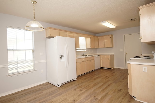 kitchen with white appliances, light wood-type flooring, and light brown cabinetry