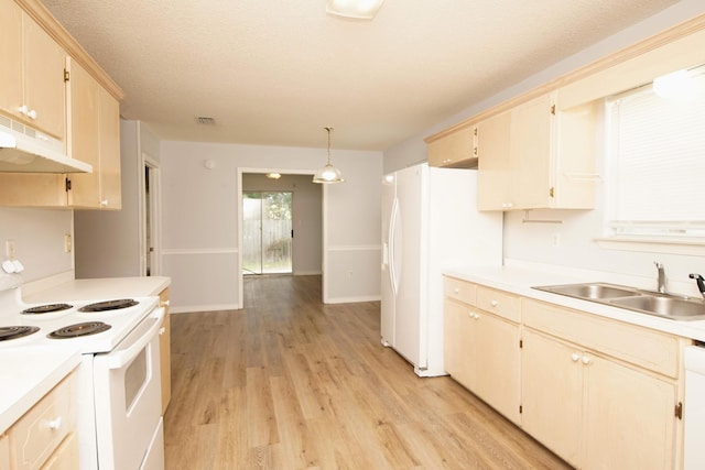 kitchen with pendant lighting, white appliances, sink, and light hardwood / wood-style flooring