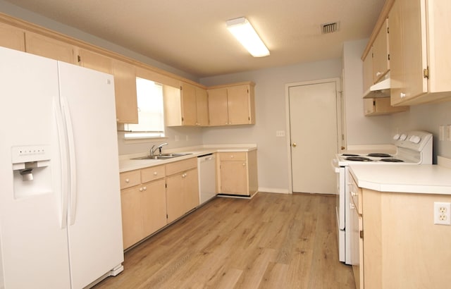 kitchen with white appliances, light hardwood / wood-style flooring, sink, and light brown cabinetry