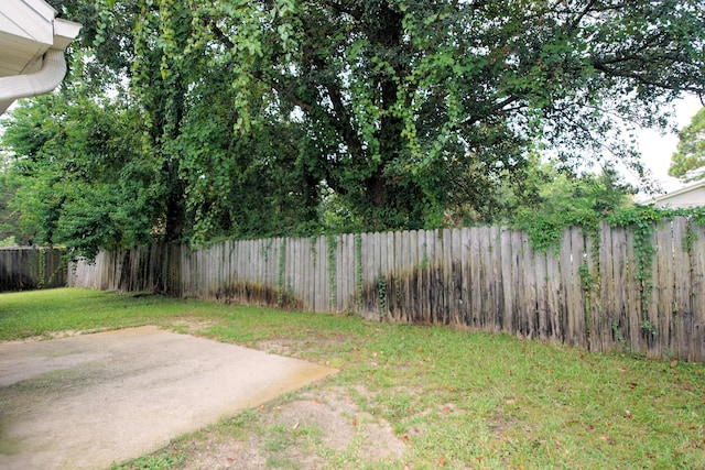 view of yard featuring a patio