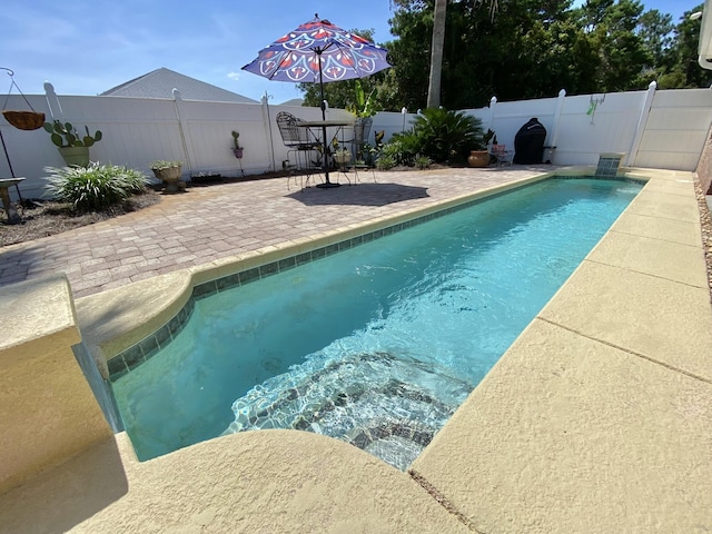 view of pool featuring a patio area