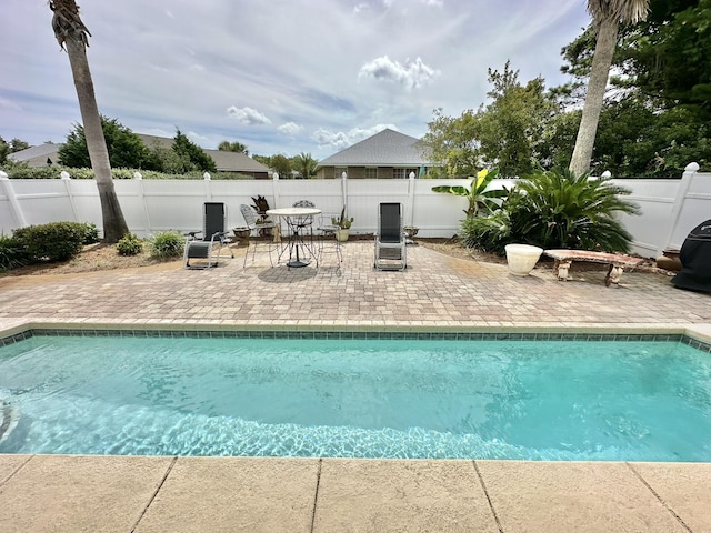 view of swimming pool featuring a patio area