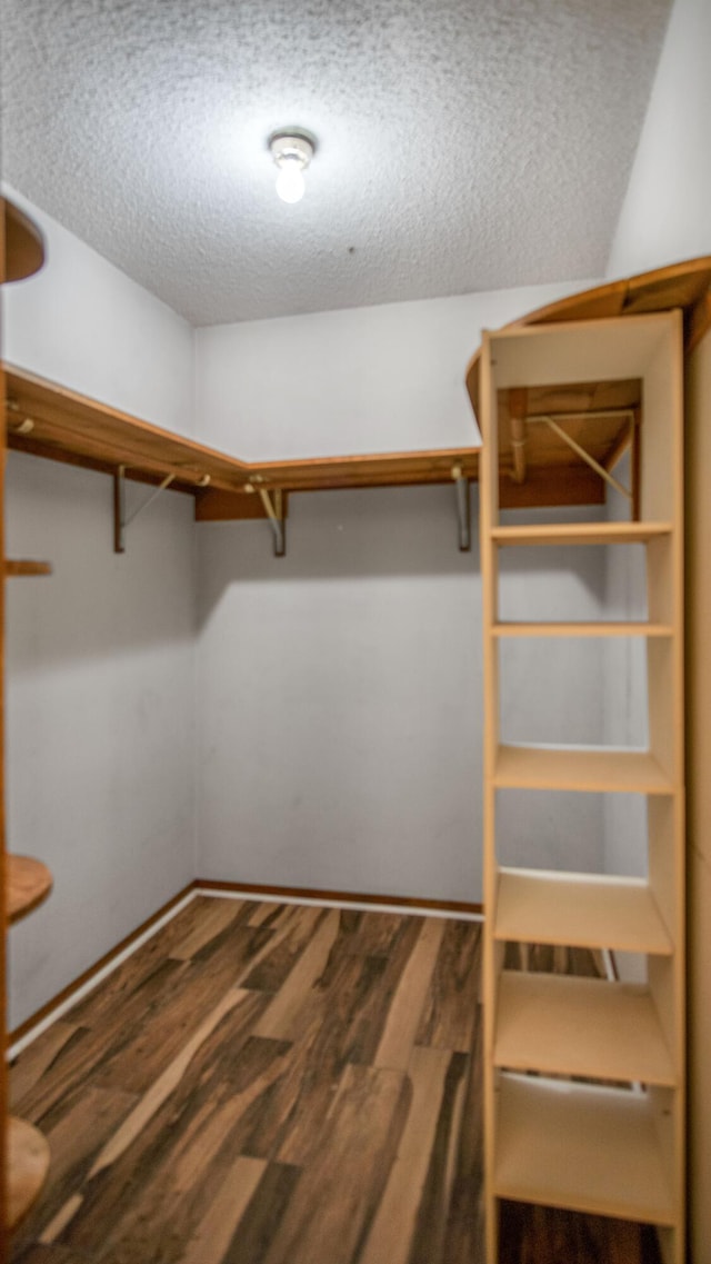 walk in closet featuring wood-type flooring