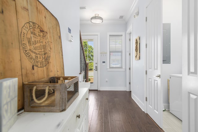 interior space featuring washer / clothes dryer, crown molding, electric panel, and dark wood-type flooring