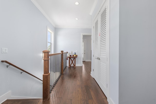 corridor with crown molding and dark hardwood / wood-style floors