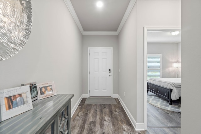 doorway to outside featuring dark hardwood / wood-style floors and ornamental molding