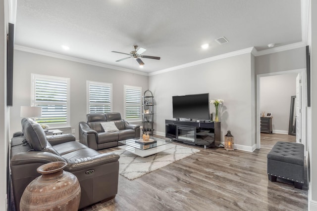 living room featuring crown molding, hardwood / wood-style floors, ceiling fan, and a textured ceiling