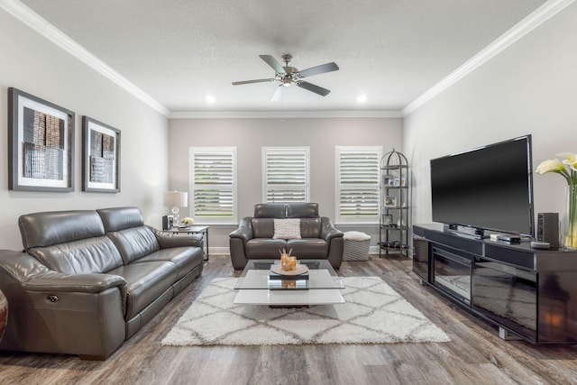 living room featuring ceiling fan, wood-type flooring, a textured ceiling, and ornamental molding