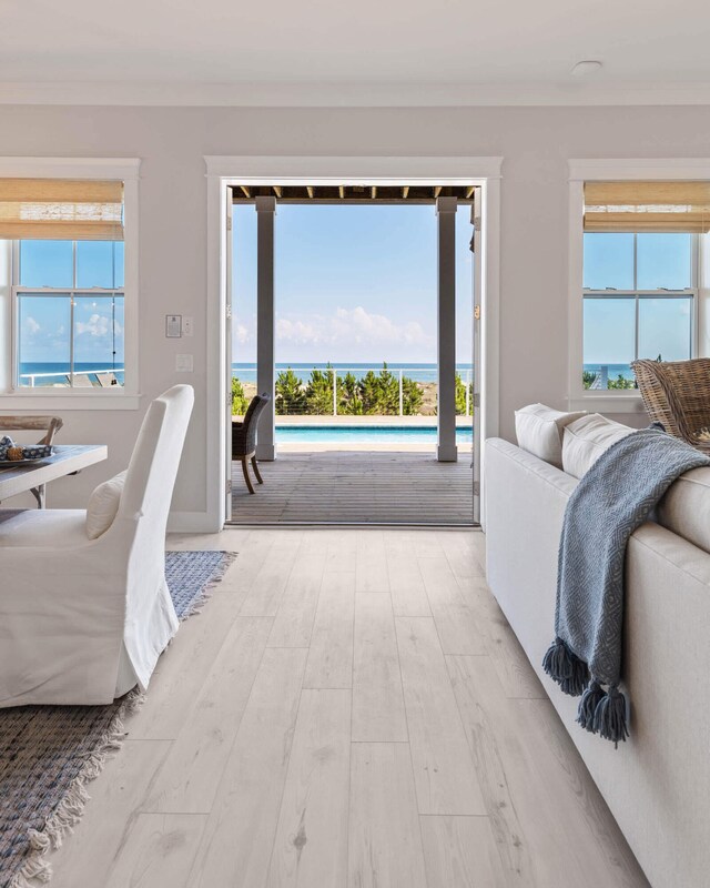 living room with light hardwood / wood-style floors and a healthy amount of sunlight