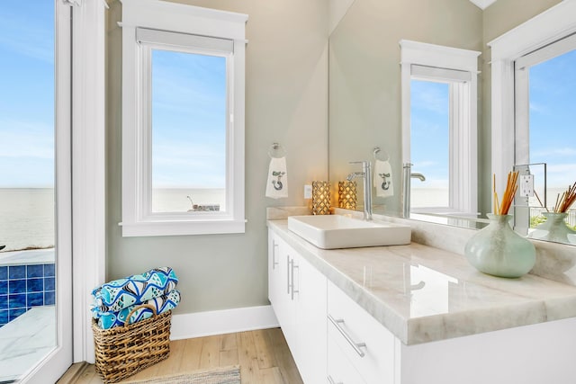 bathroom with wood-type flooring and vanity