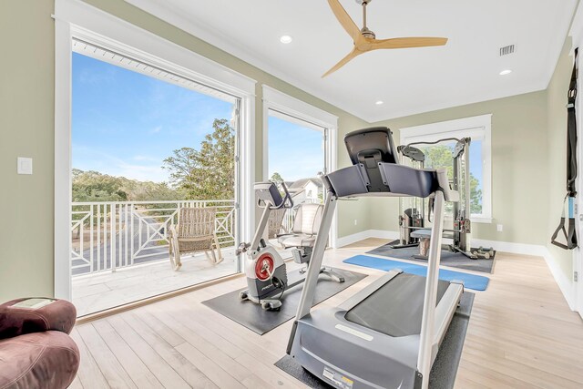 workout room featuring light hardwood / wood-style floors, ceiling fan, and a healthy amount of sunlight