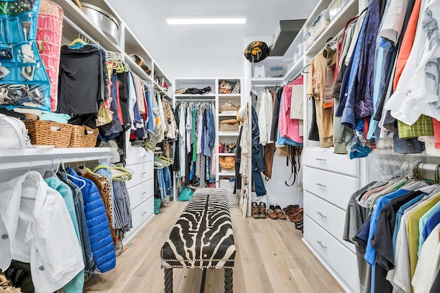 walk in closet featuring light hardwood / wood-style flooring