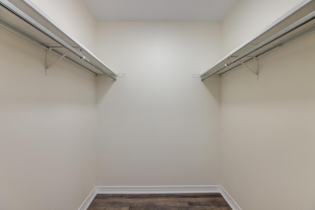 walk in closet with dark hardwood / wood-style floors